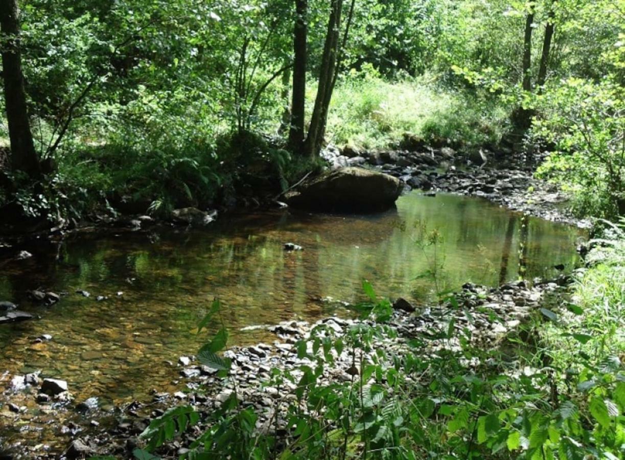 La Chouette Au Bouleau Hargnies Exterior foto